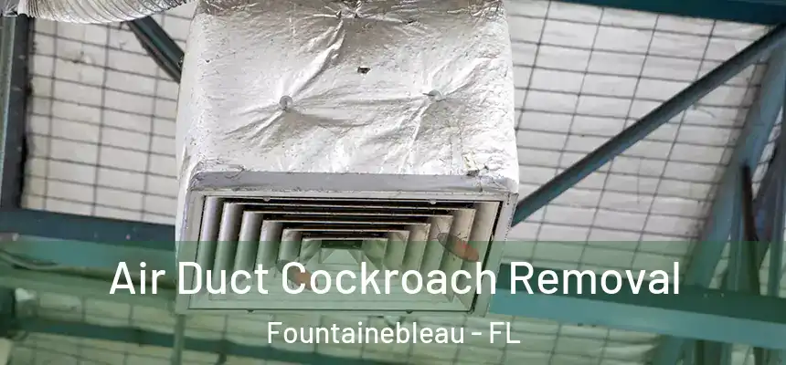 Air Duct Cockroach Removal Fountainebleau - FL