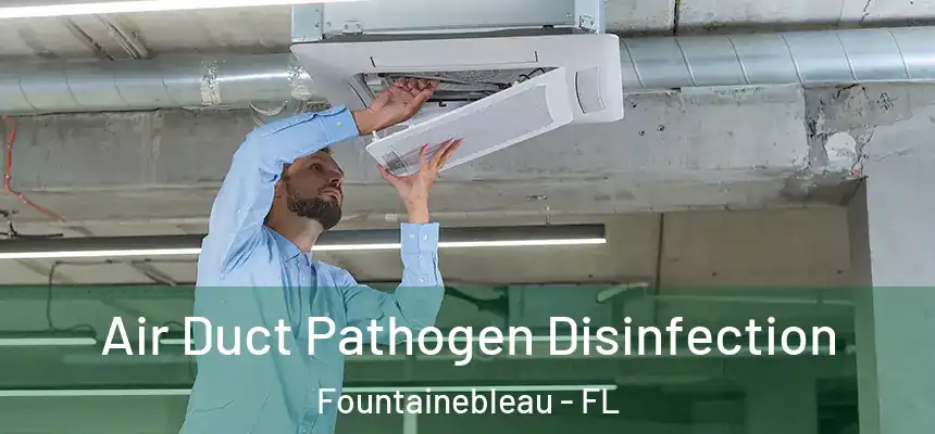 Air Duct Pathogen Disinfection Fountainebleau - FL