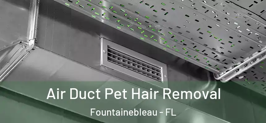 Air Duct Pet Hair Removal Fountainebleau - FL