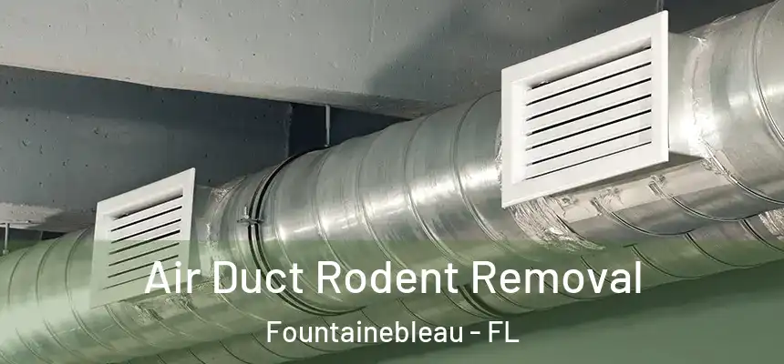 Air Duct Rodent Removal Fountainebleau - FL