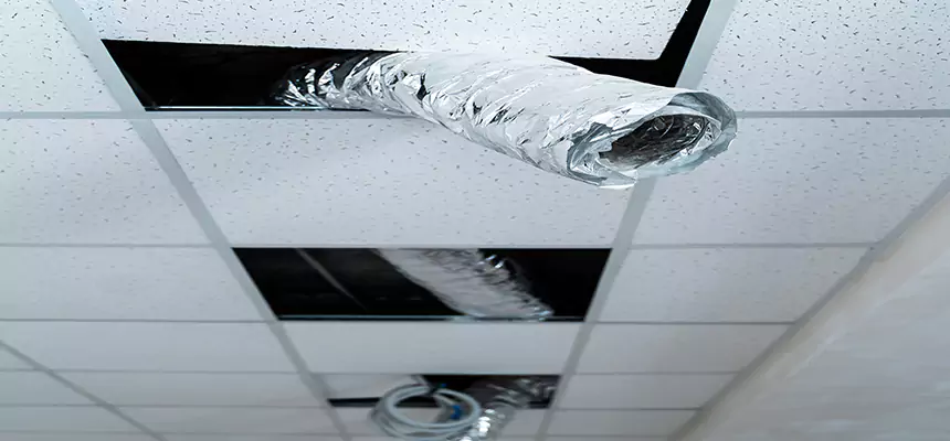 Our Air Duct Pet Hair Removal Services in Fountainebleau, FL