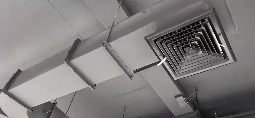 Restorative Allergy Relief Vent Cleaning – Coil, Blower & Housing Detail in Fountainebleau