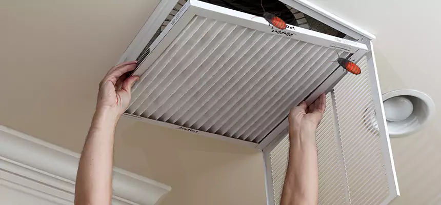 Our Insect Removal from Air Ducts Services in Fountainebleau, FL