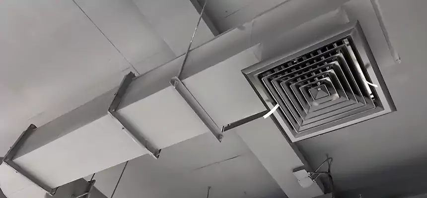 Our Pest Removal From Ducts Services in Fountainebleau, FL