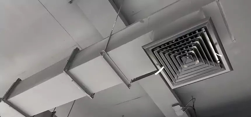 Our Rodent Droppings In Vents Services in Fountainebleau, FL