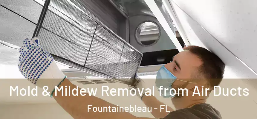 Mold & Mildew Removal from Air Ducts Fountainebleau - FL