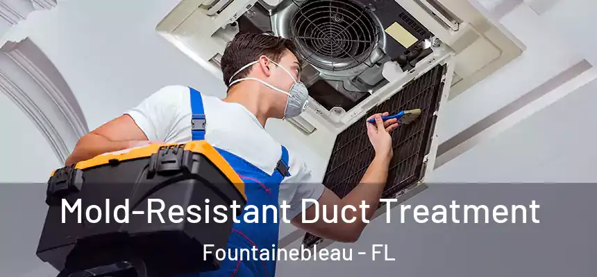 Mold-Resistant Duct Treatment Fountainebleau - FL
