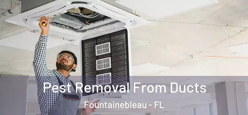 Pest Removal From Ducts Fountainebleau - FL
