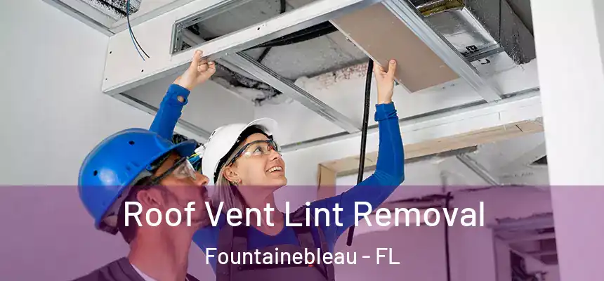 Roof Vent Lint Removal Fountainebleau - FL