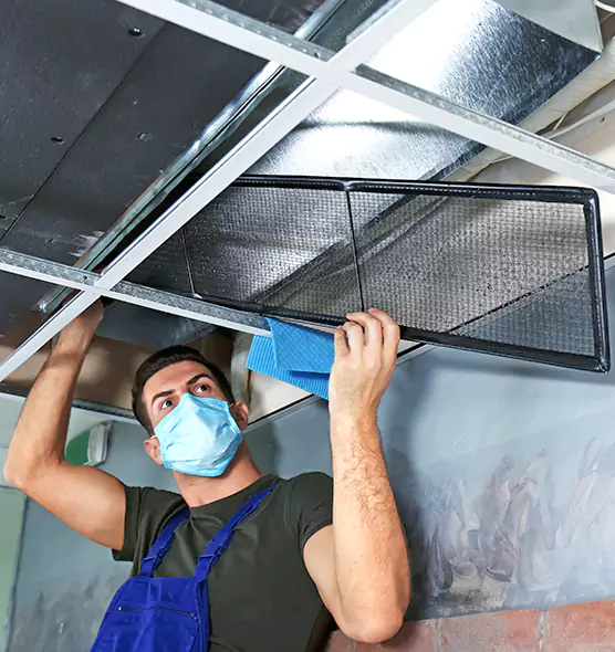 About Air Duct Bacteria Removal in Fountainebleau
