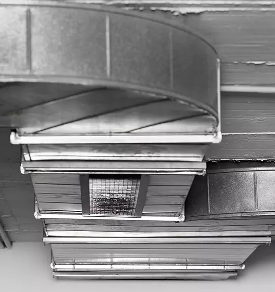 Professional Air Duct Pet Hair Removal in Fountainebleau, FL