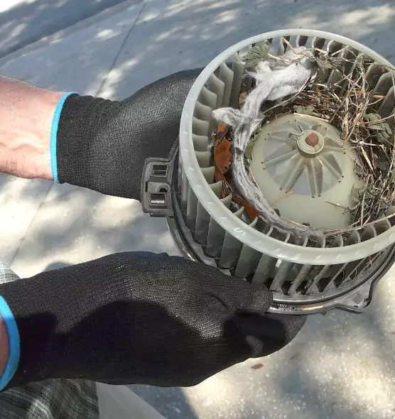 About Air Duct Rat Removal in Fountainebleau, FL