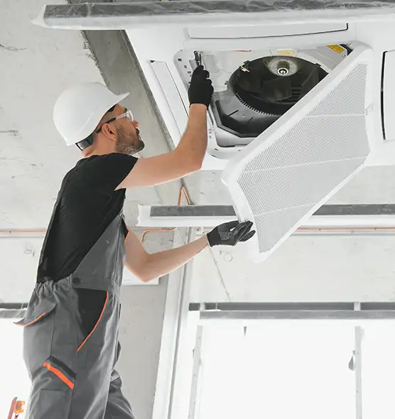 About Air Duct Rodent Removal in Fountainebleau, FL