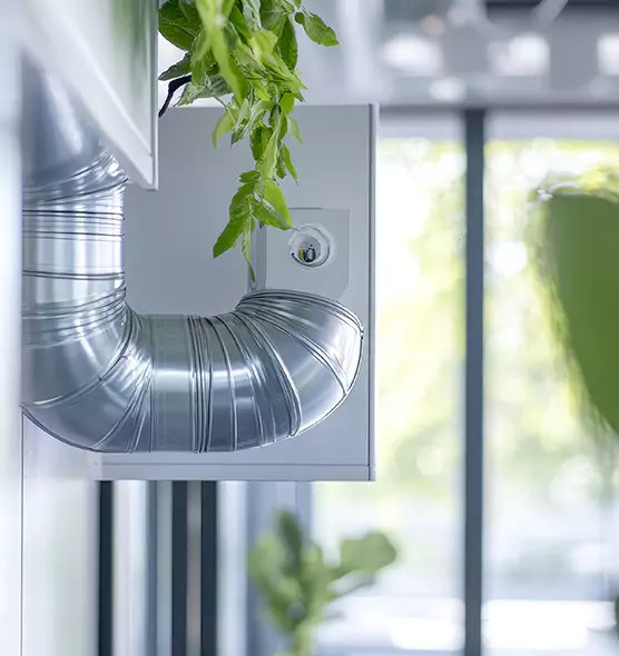 Professional Eco-Friendly Duct Cleaning Services in Fountainebleau, FL