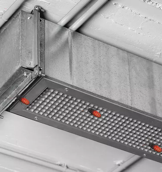 Affordable Insect Removal from Air Ducts in Fountainebleau, FL