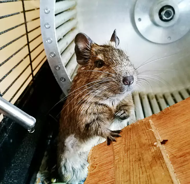 Why Homeowners & Businesses Trust Us Fountainebleau, FL