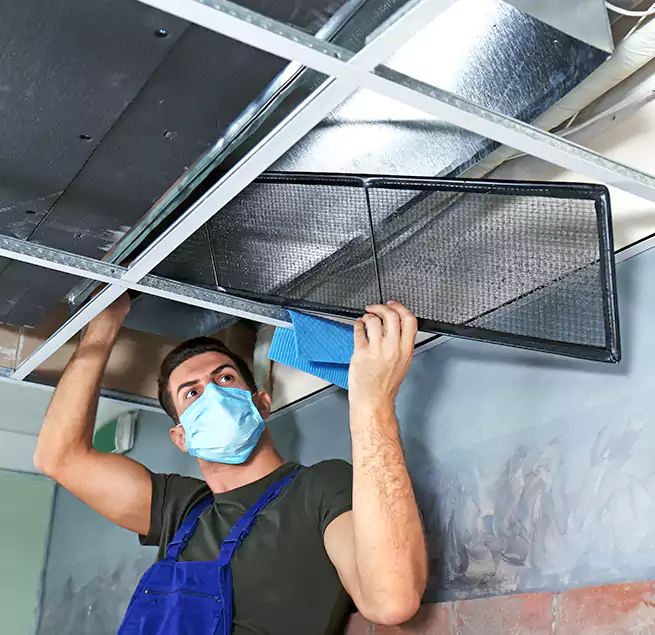 Why Homeowners Businesses Trust Us in Fountainebleau, FL