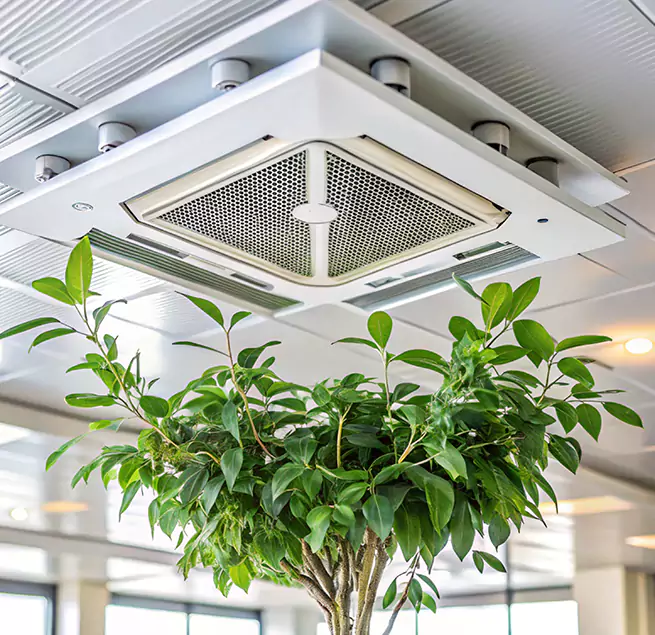 Why Homeowners & Businesses Trust Us in Fountainebleau, FL