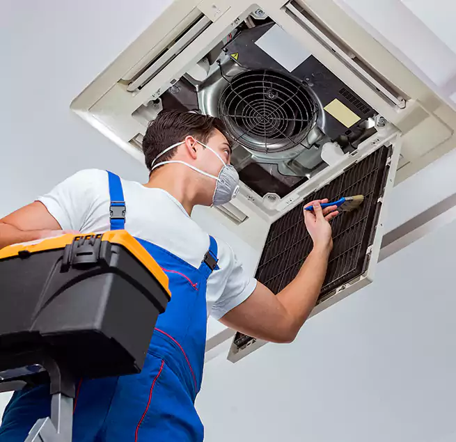 Why Homeowners & Businesses Trust Us in Fountainebleau, FL?