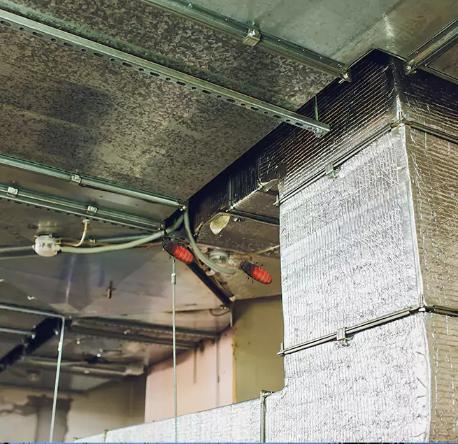 Why Homeowners & Businesses Trust Us Fountainebleau, FL?